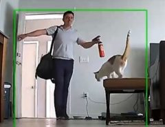 「僕が帰宅した時の猫のリアクションを見て」　動画に２３万『いいね』
