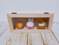 セリアのディスプレイケースは組み立て式もある　「１００円ショップのクオリティに驚くわ」