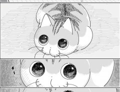 棚の物を落とした猫　イタズラをしたことを自覚しているようで？　「共感しかない」