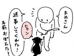 飼い主「アレ？」　名前に反応する猫が、急に返事をしないワケ