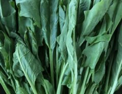 これで鮮度が長持ちする！　野菜の保管方法テクニックとしなびた野菜の活用方法