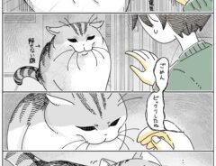 キュルZさんの漫画アイキャッチ画像