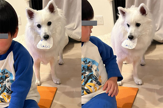 似顔絵を描いてもらった犬