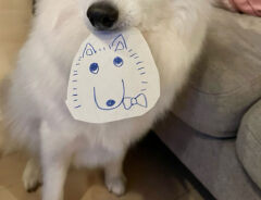 犬「似顔絵を描いてもらったワンね〜」　ルンルンでいたら、まさかのオチが！