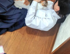 登校直前の写真