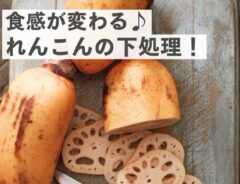レンコンの画像
