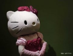 「男性がキティちゃんを好きなのはダメなの？」　キティちゃんの返答に、称賛が相次ぐ