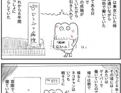 猫が亡くなった後も…　飼い主の行動に、ペット好きは絶対泣いちゃう