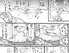 『犬と猫どっちも飼ってると』テンションのアップダウンが激しい２匹に、吹き出す