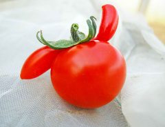 客からの『ひと言』に「優しい世界」　農家の話に「もっと広まって」の声も
