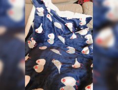 「難易度が高い！」　１０万人が『いいね』を寄せた１枚の写真に隠れていたのは…
